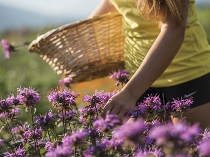 Das Hotel Goldene Rose in Bruneck Das Hotel Goldene Rose in Bruneck
