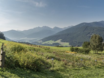 Das Hotel Goldene Rose in Bruneck Das Hotel Goldene Rose in Bruneck